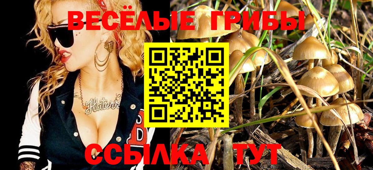 Псилоцибиновые грибы MAGIC MUSHROOMS Мариинск